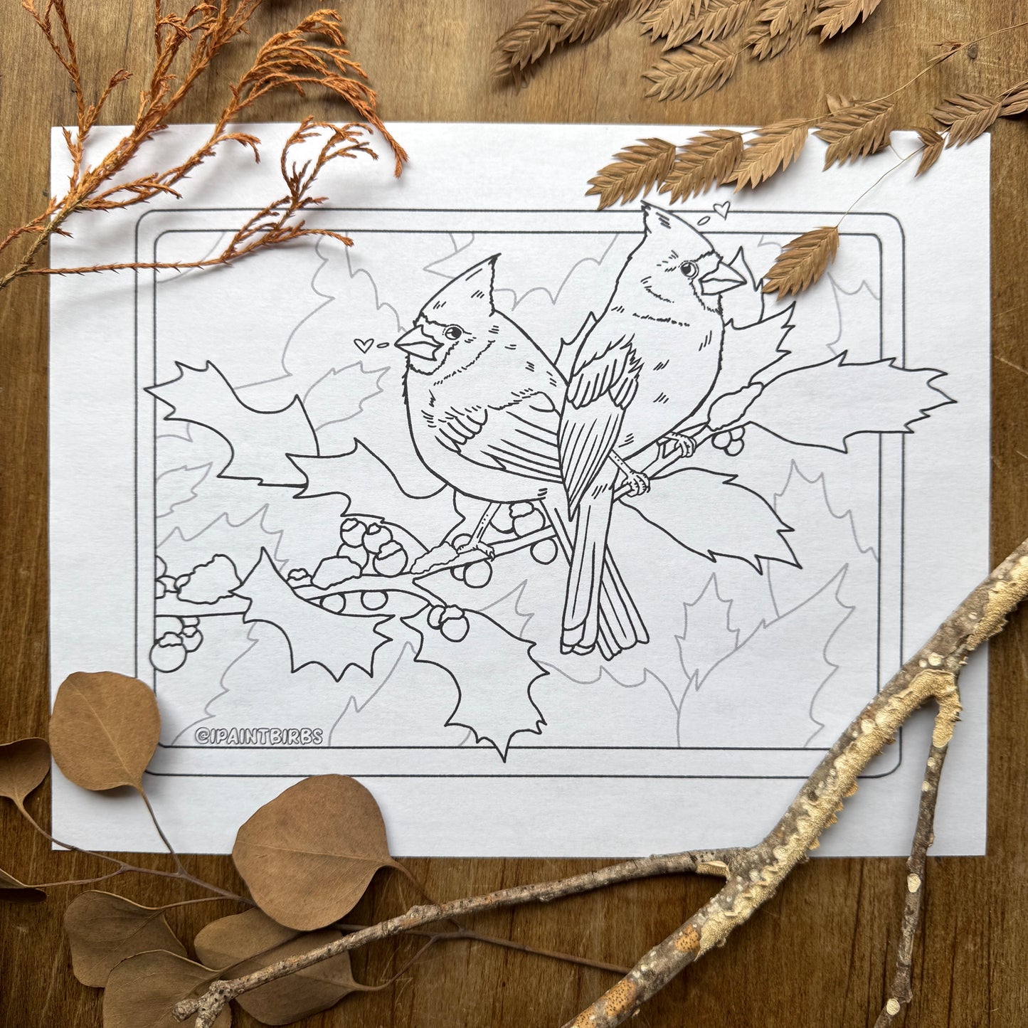 Gay Cardinal Christmas | Coloring Page