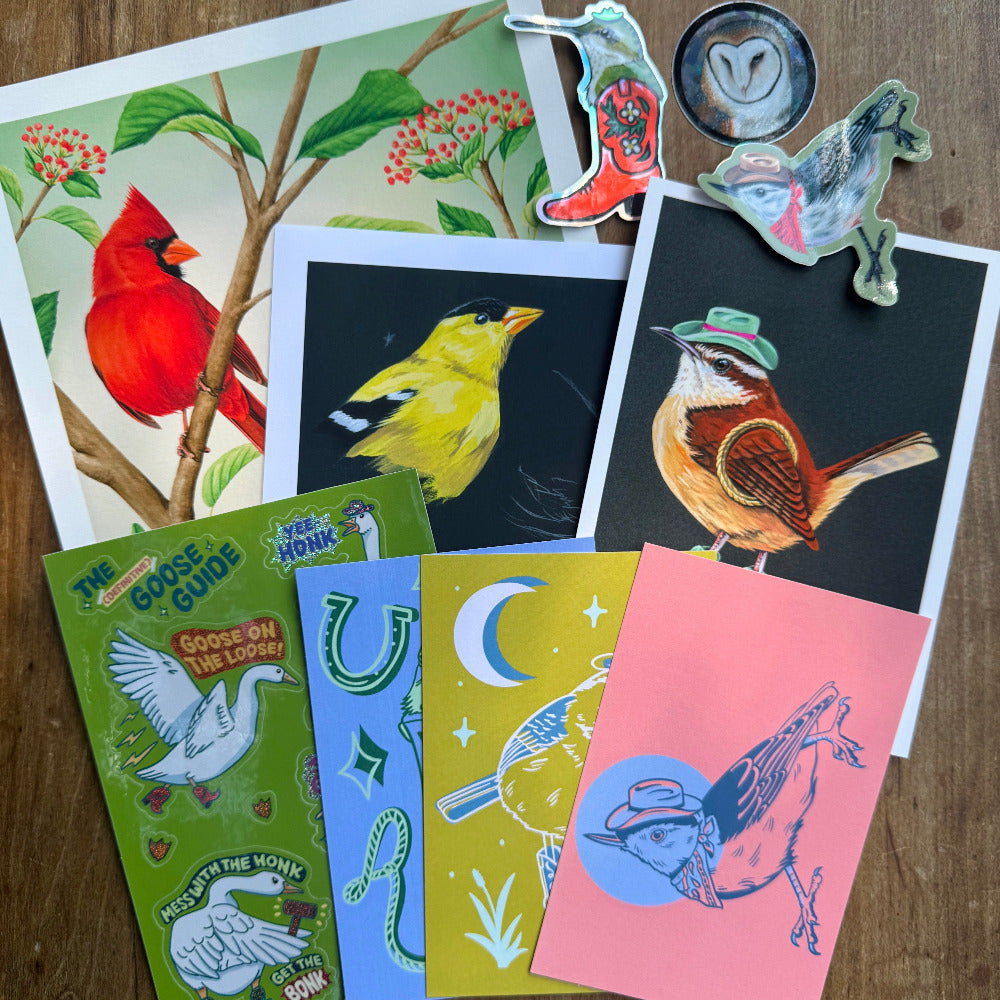 Big Mystery Birb Bag