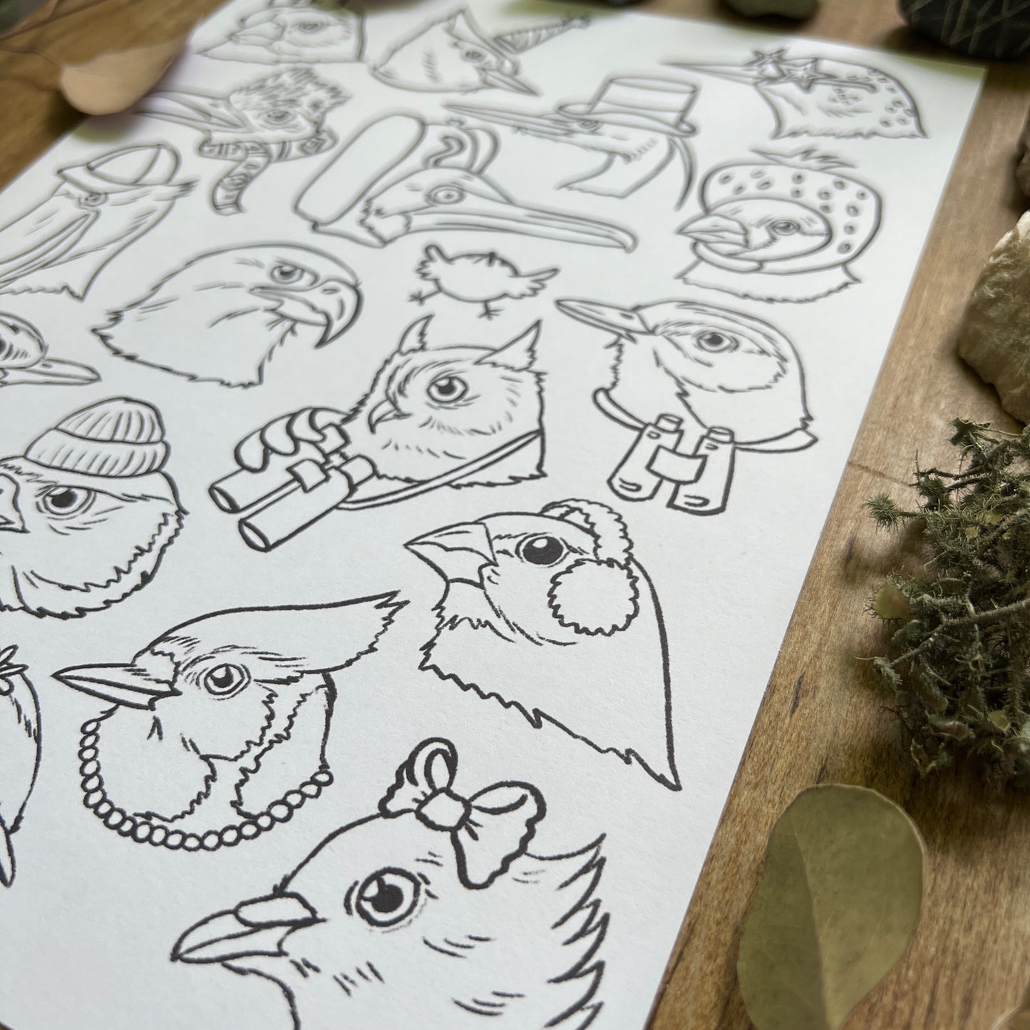 Birb Portraits: Part One | Coloring Page