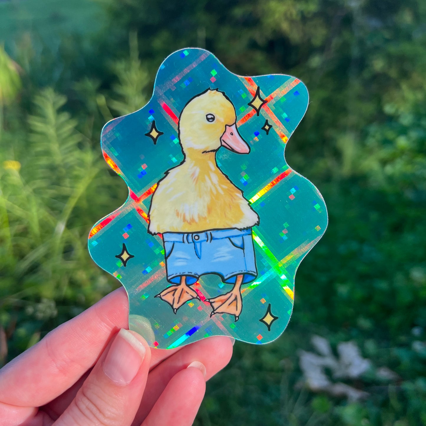Jorts Duck