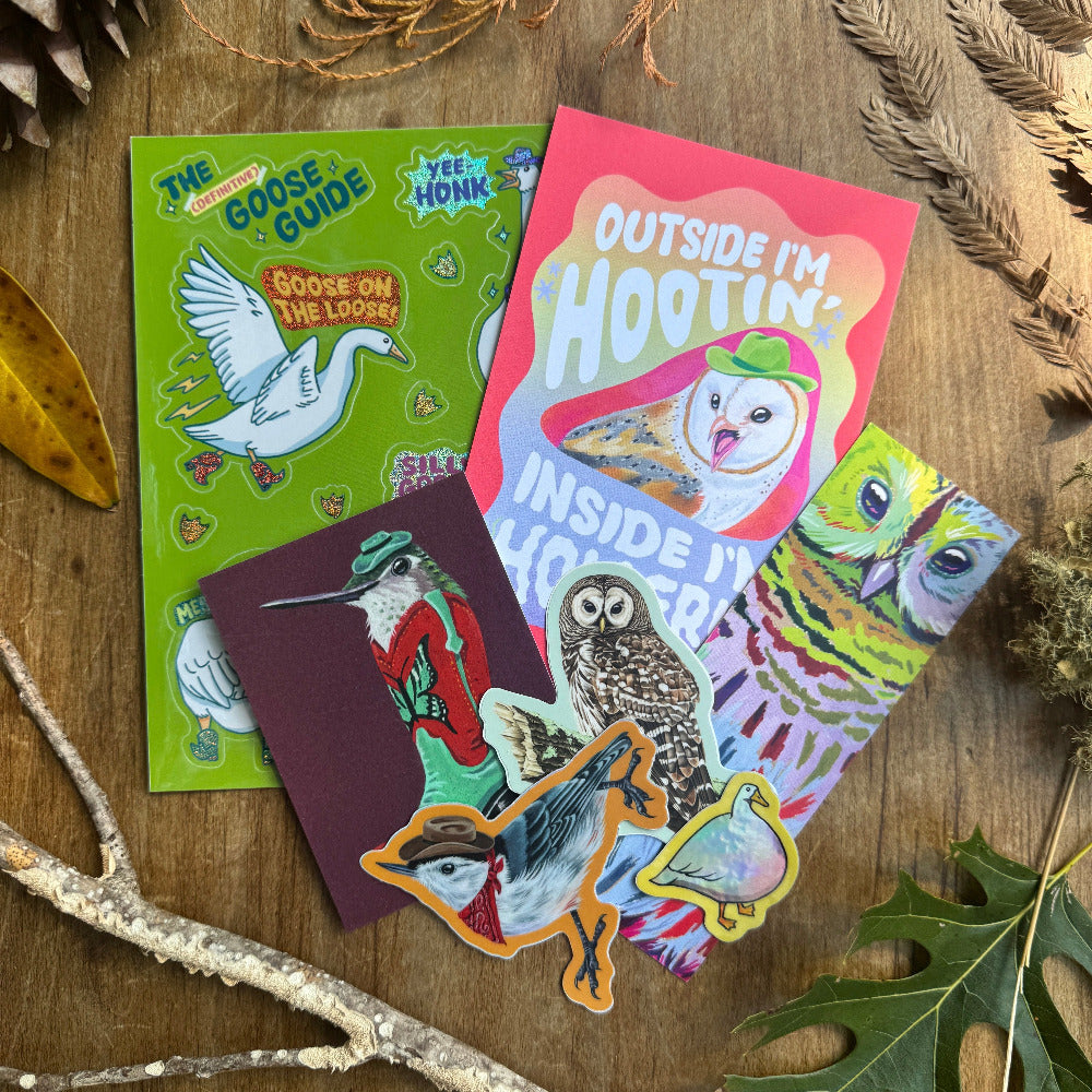 Lil' Mystery Birb Bag