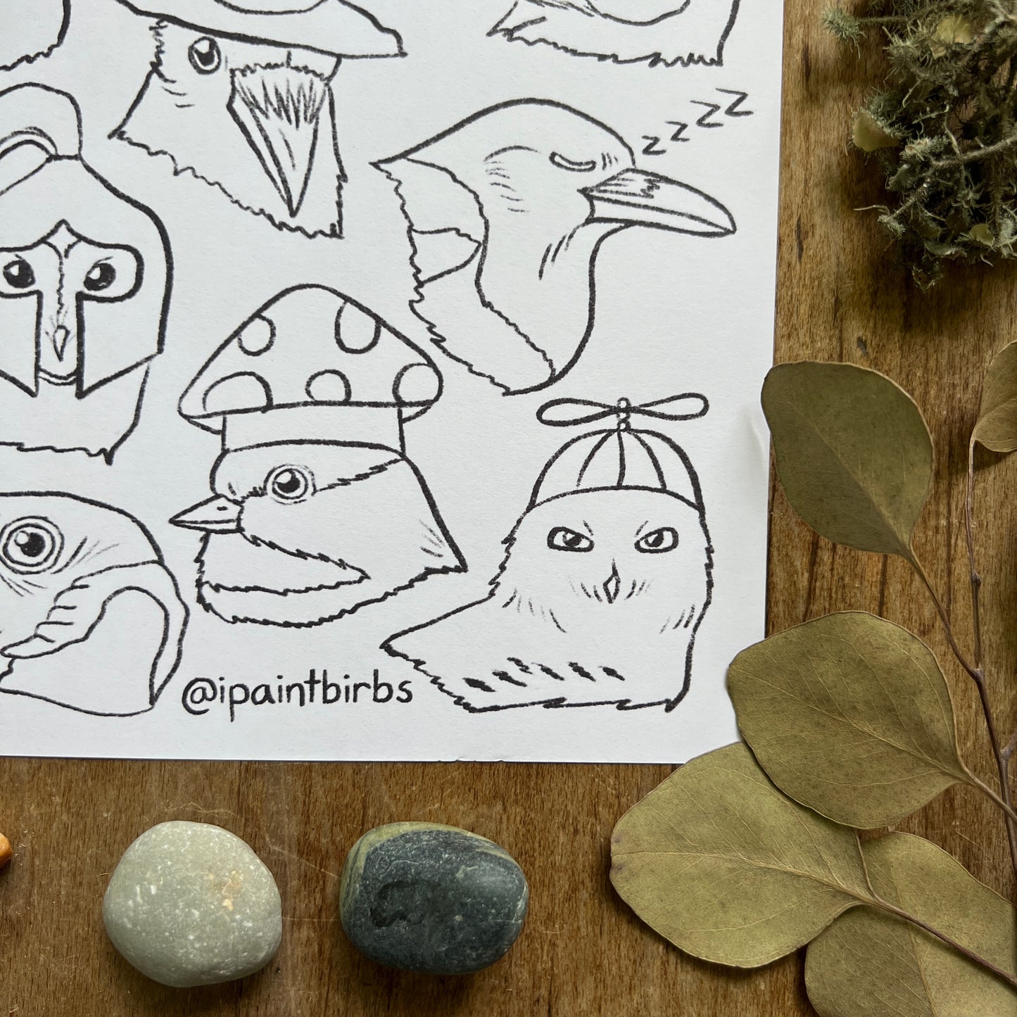 Birb Portraits: Part Two | Coloring Page