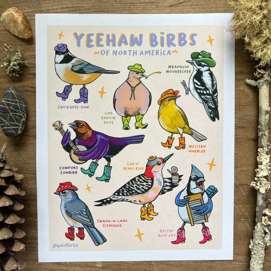 A Guide to Yeehaw Birbs | Art Print