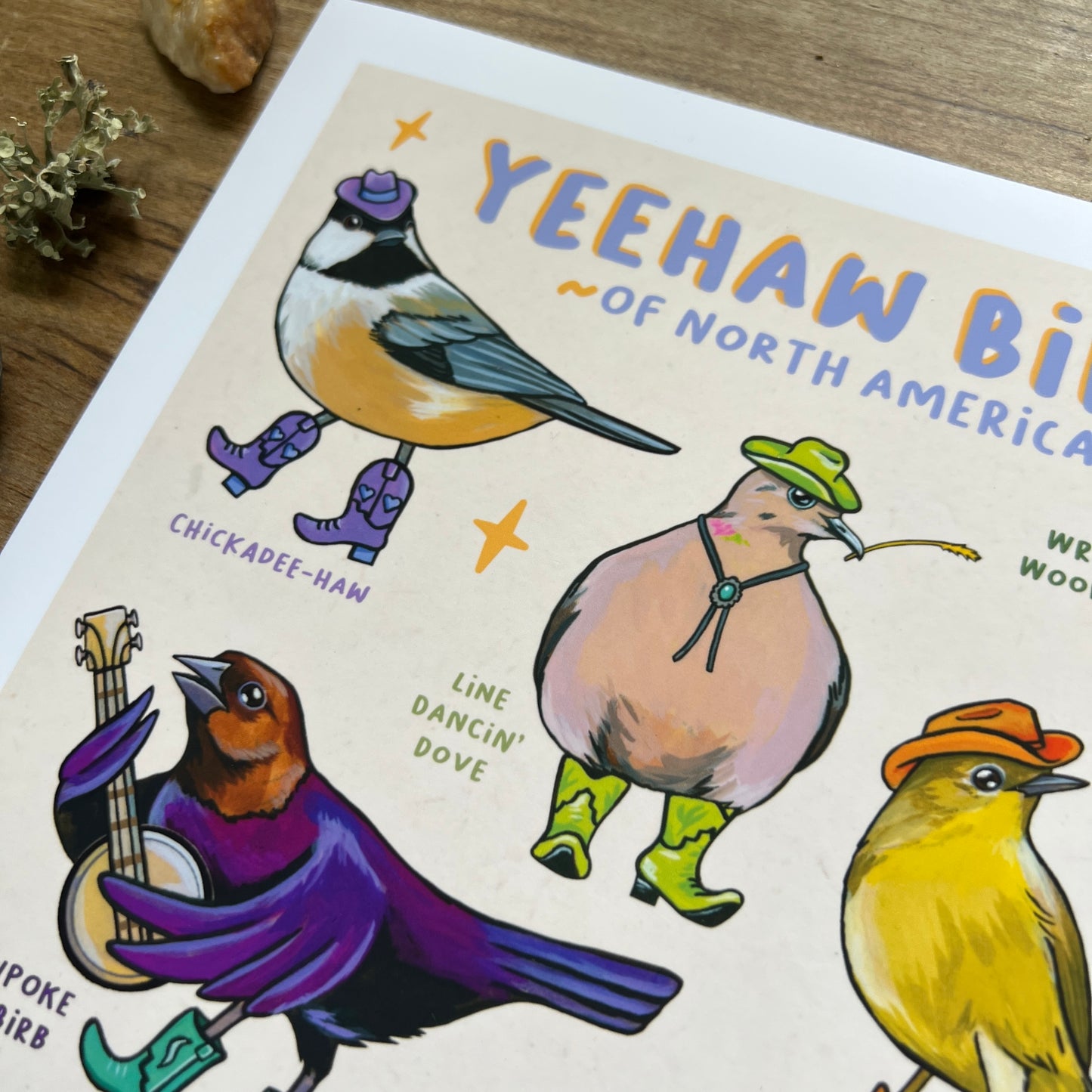 A Guide to Yeehaw Birbs | Art Print