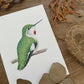 Female Anna's Hummingbird | Original Painting