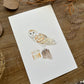 Barn Owl Study | Original Painting