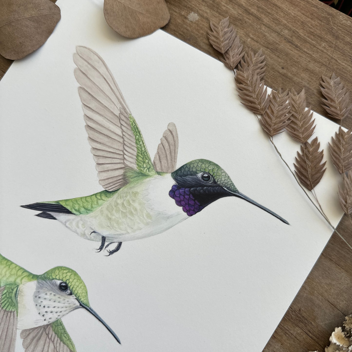 Black-chinned Hummingbirds | Original Painting