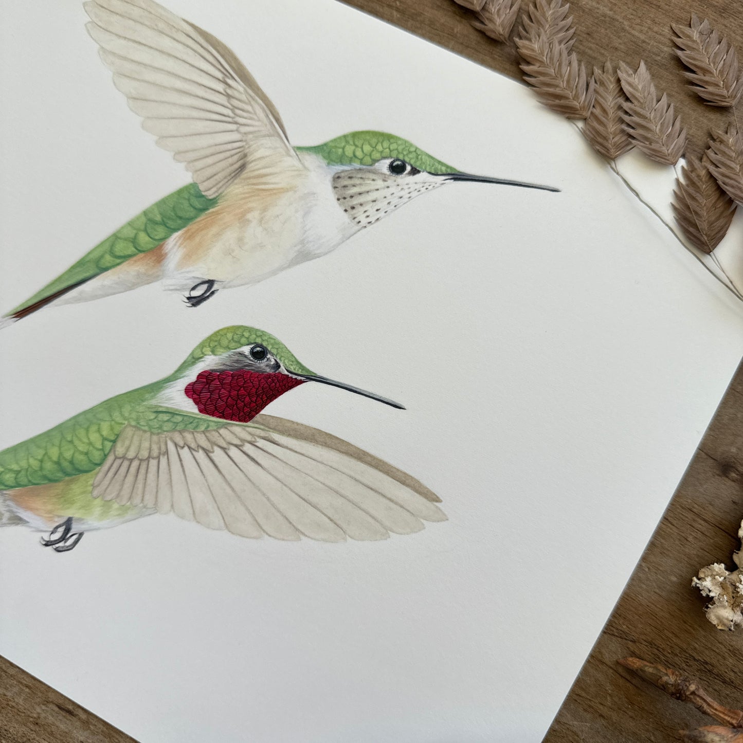 Broad-tailed Hummingbirds | Original Painting