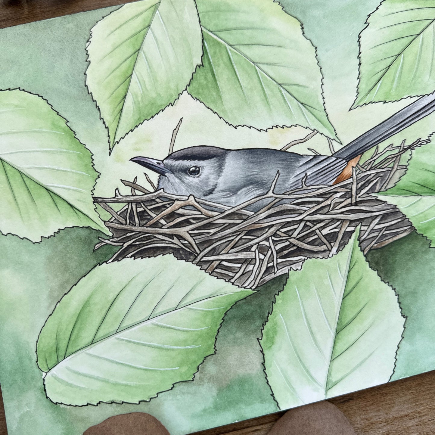 Catbird in her Nest | Original Painting