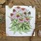 Echinacea (Botanical Series) | Original Painting