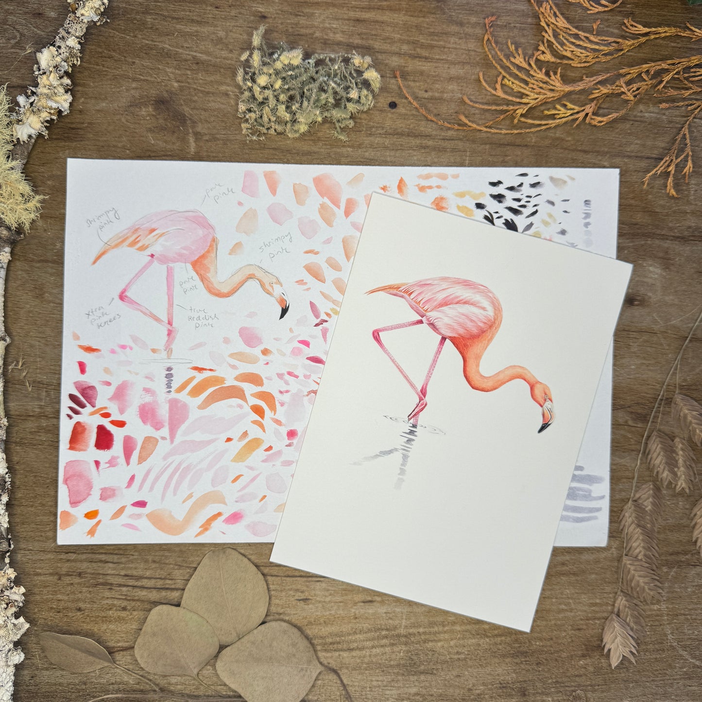 Flamingo (Galapagos Series) | Original Painting – Liz Clayton Fuller ...