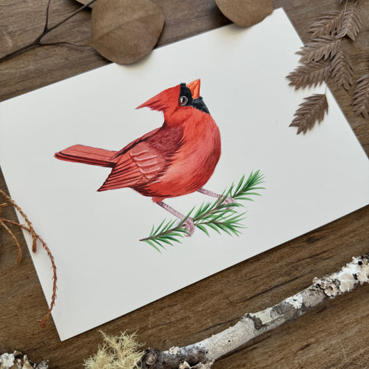 Lil' Cardinal Mans | Original Painting