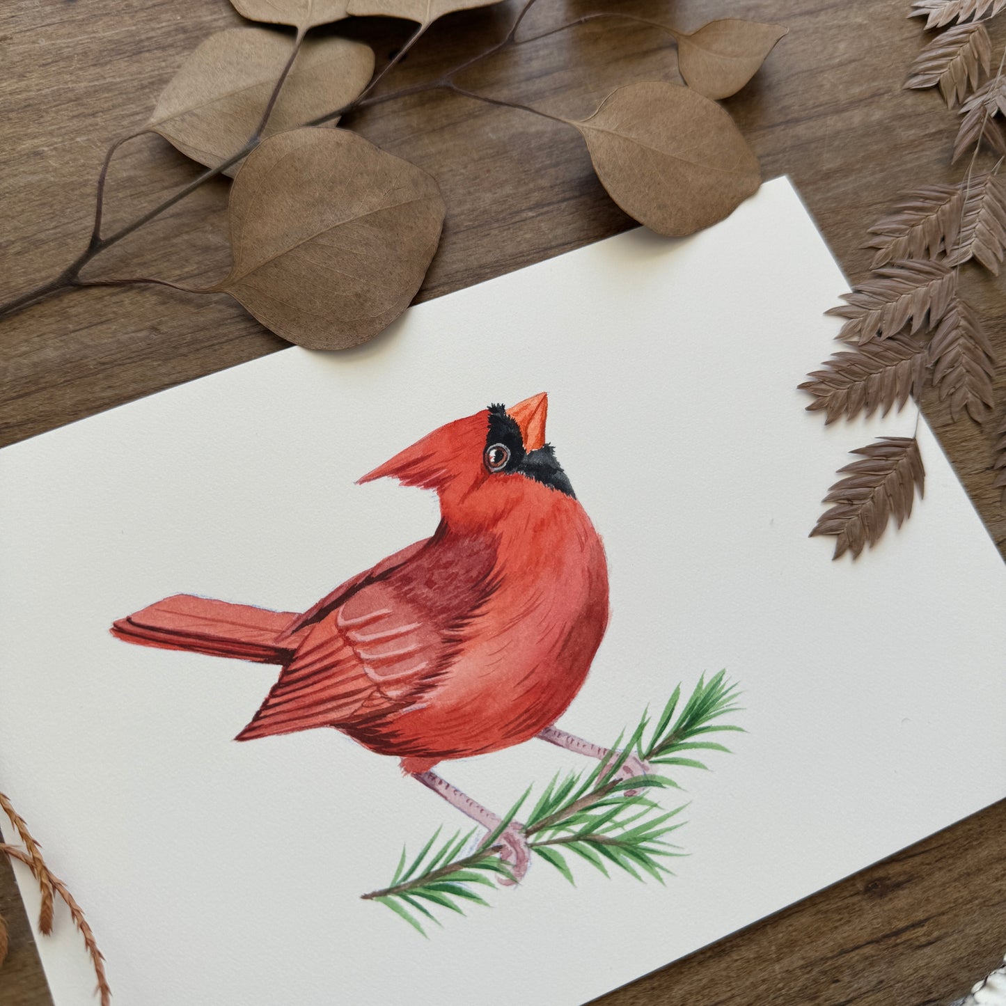 Lil' Cardinal Mans | Original Painting