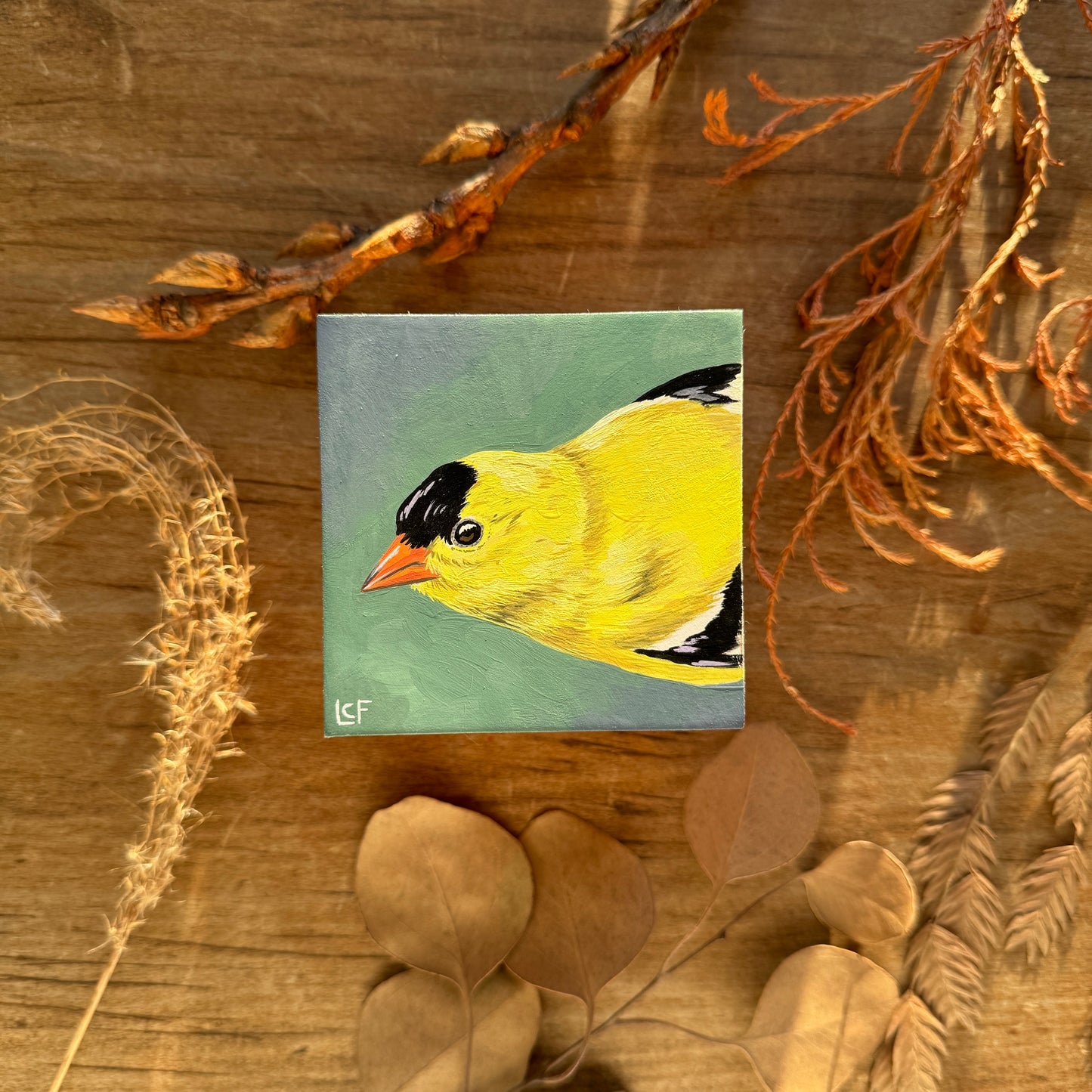 American Goldfinch | Original Painting