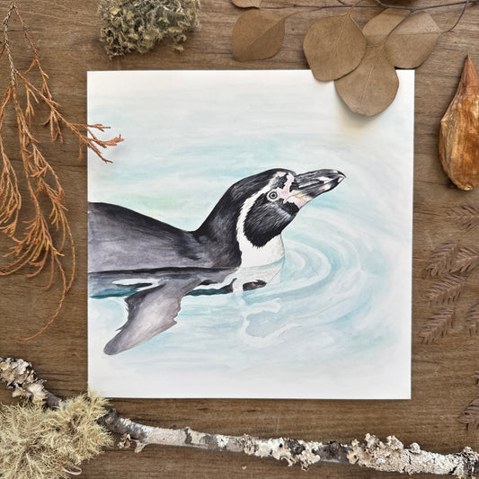 Humboldt Penguin Study | Original Painting