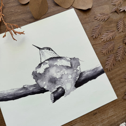 Hummingbird Nest Study | Original Painting