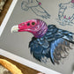 Vulture Studies | Art Print