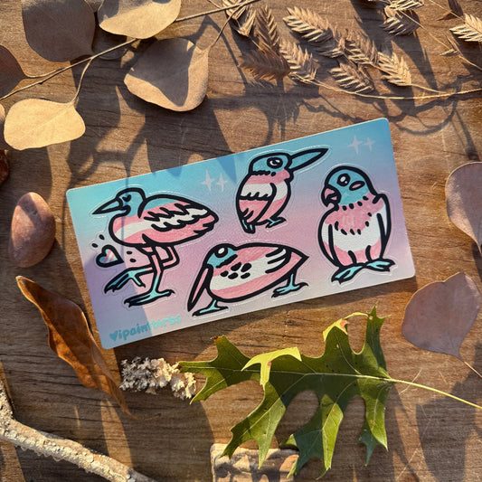 Trans Pride Birbs || Sticker Sheet