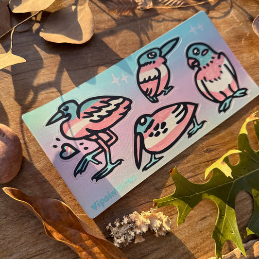 Trans Pride Birbs || Sticker Sheet