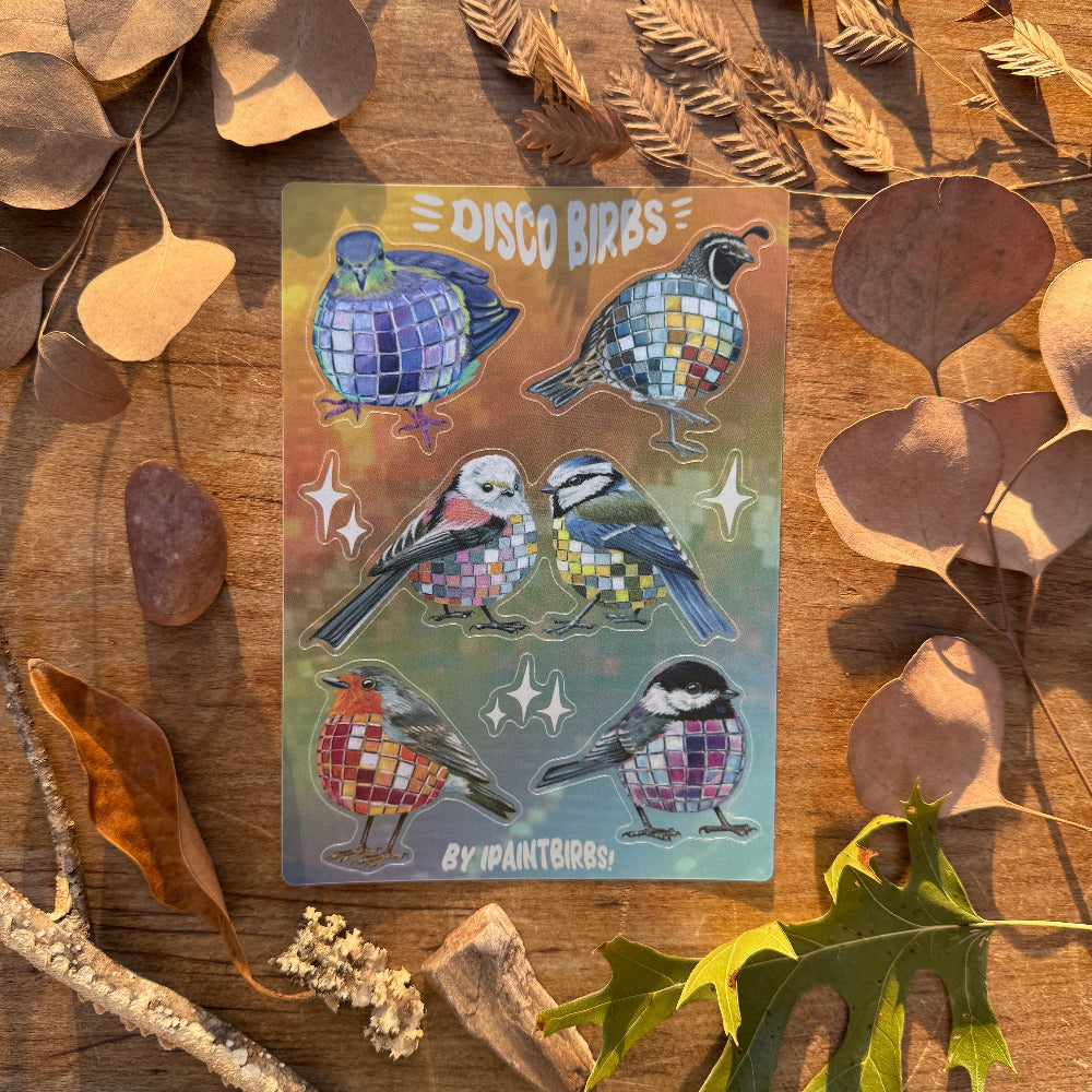 Disco Birbs || Sticker Sheet