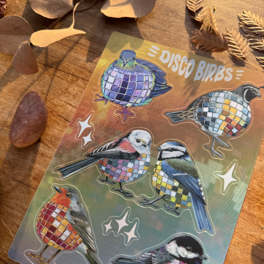 Disco Birbs || Sticker Sheet