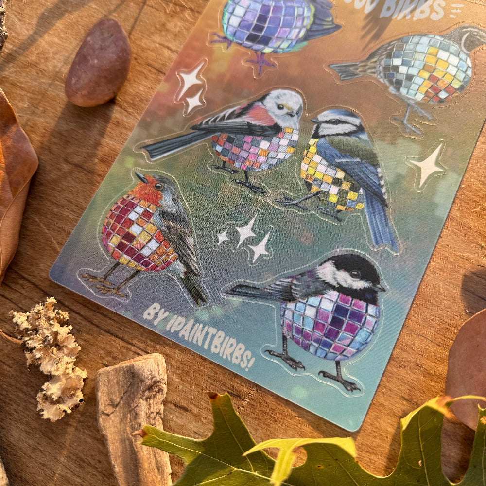 Disco Birbs || Sticker Sheet