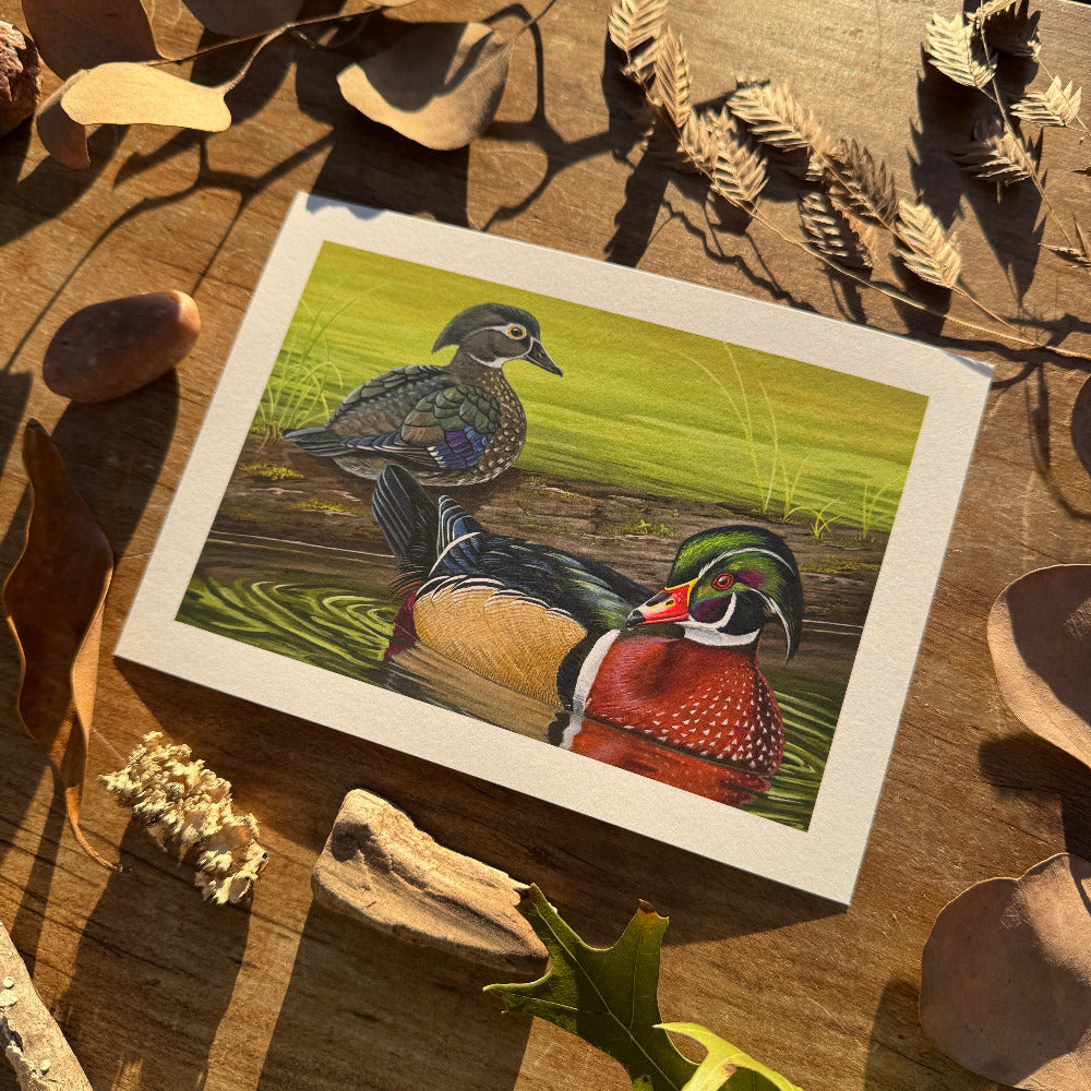Berries and Cream, the Wood Ducks | Art Print