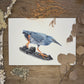 Lava Heron (Galapagos Series) | Original Painting