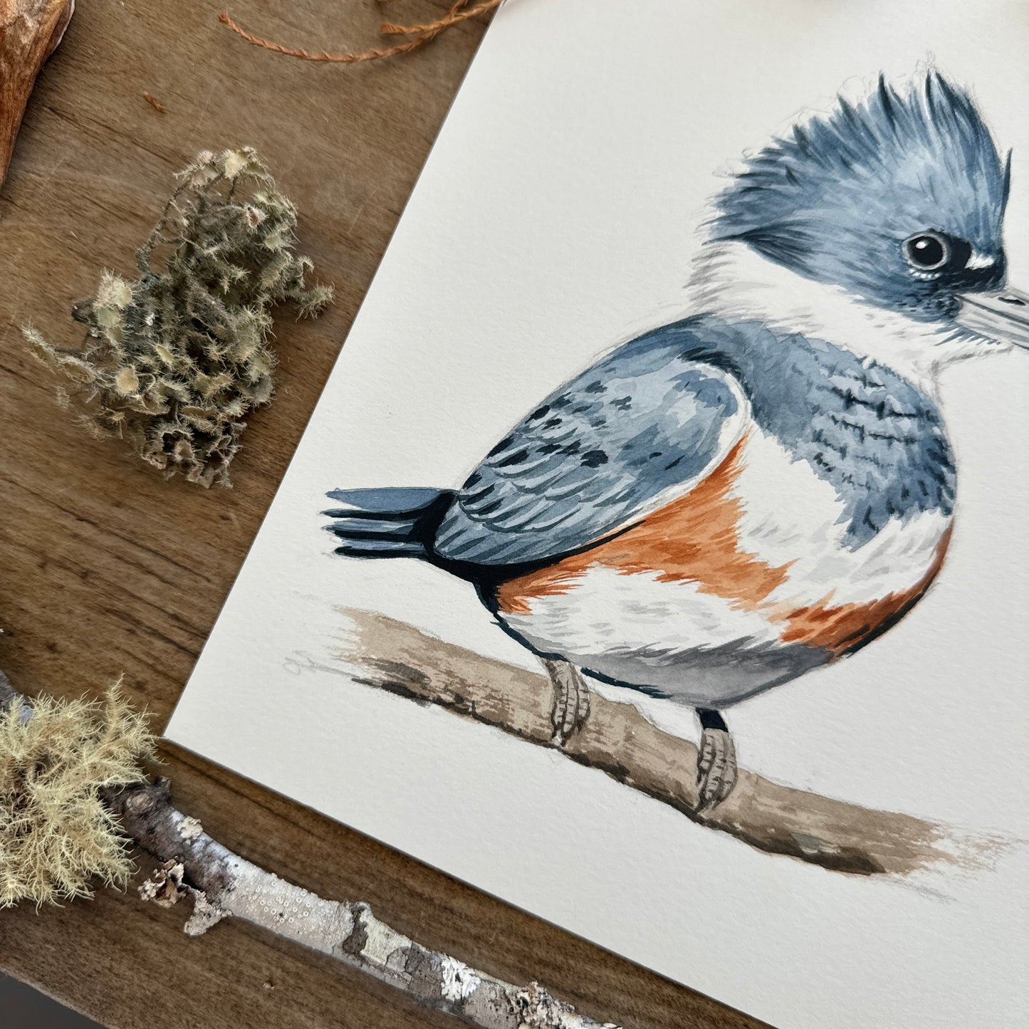 Queenfisher Perched | Original Painting