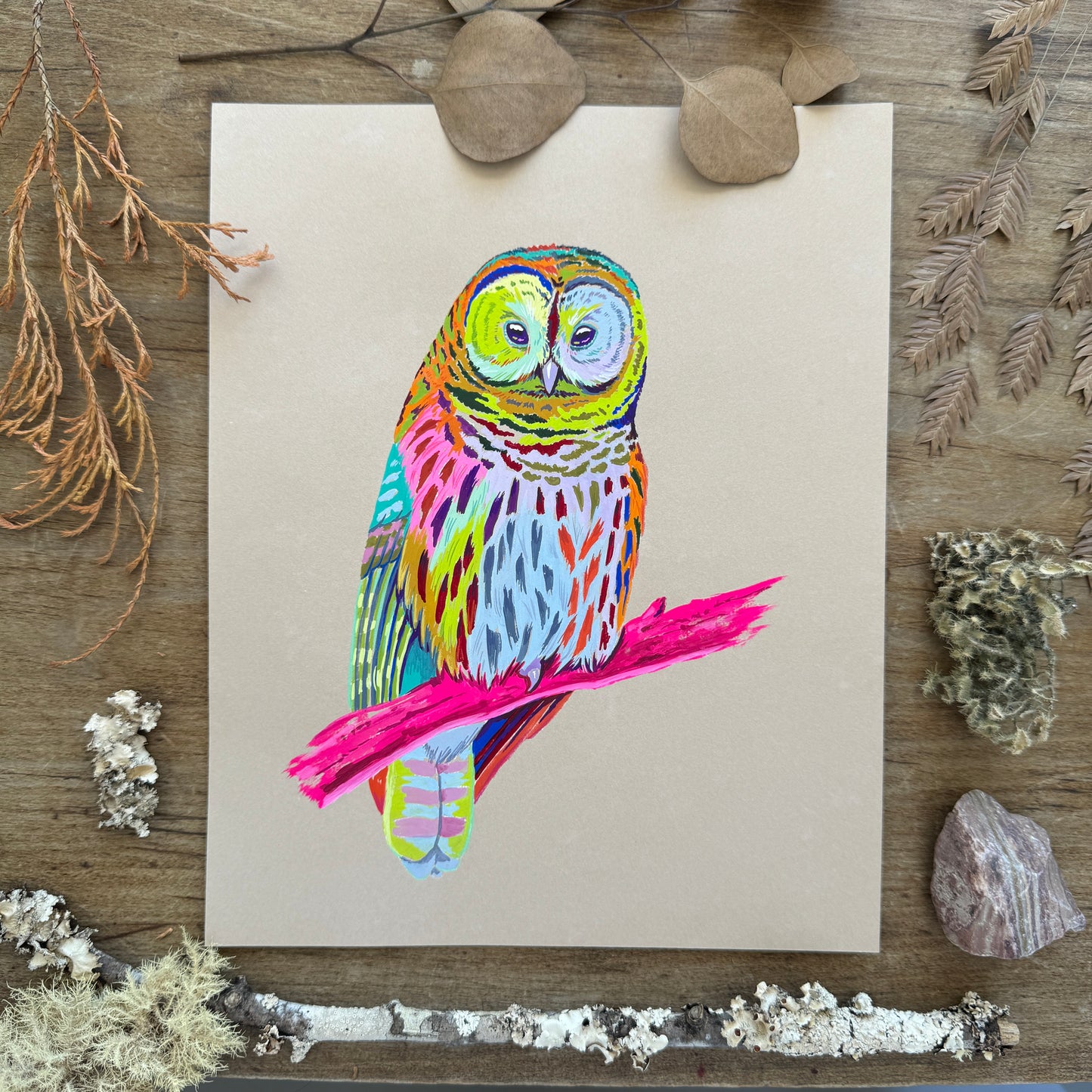 Rainbow Barred Owl | Original Painting