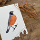 American Robin Perched | Original Painting