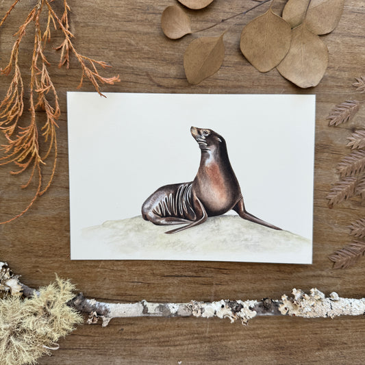 A Sea Lion? (yes) | Original Painting