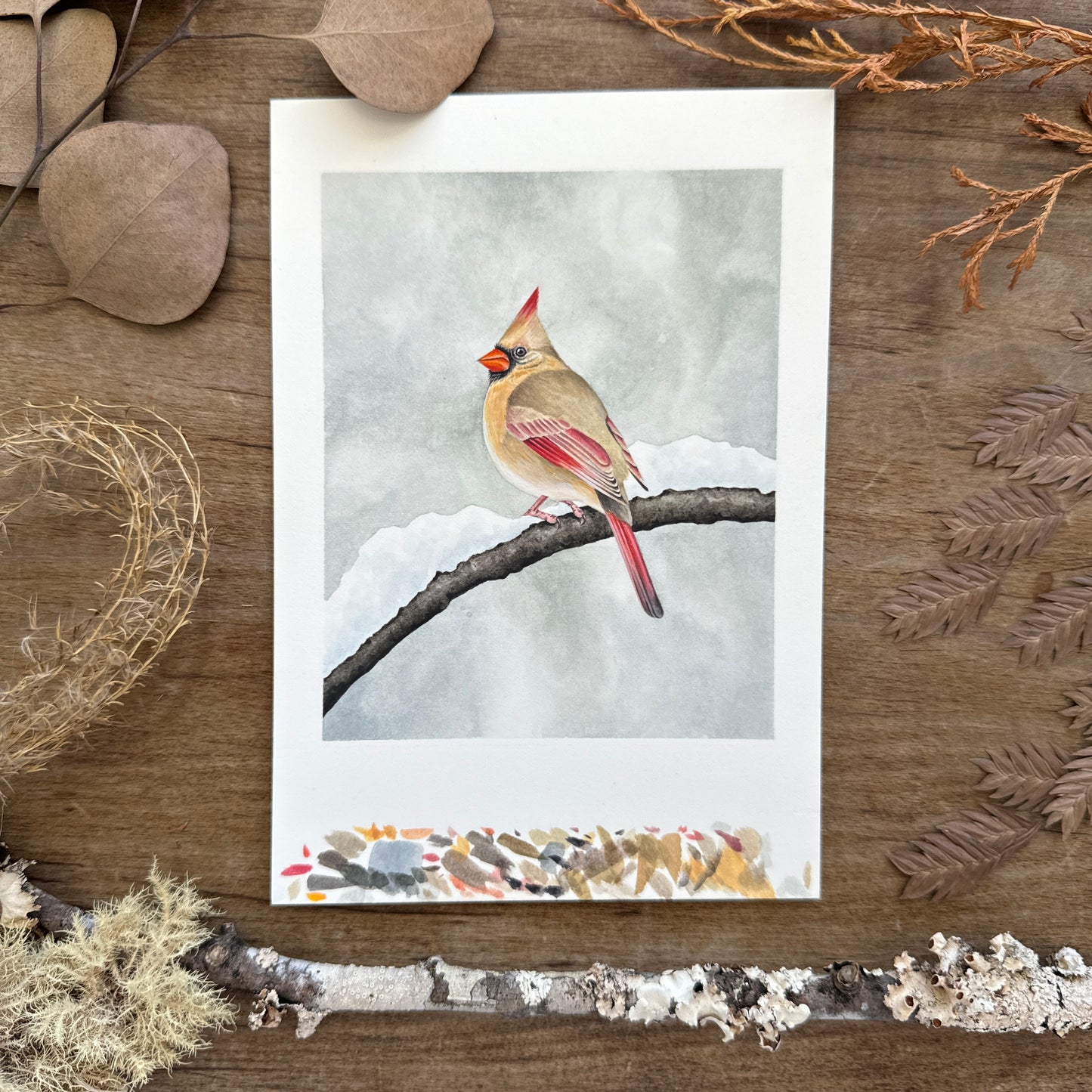 Winter Cardinal Study | Original Painting