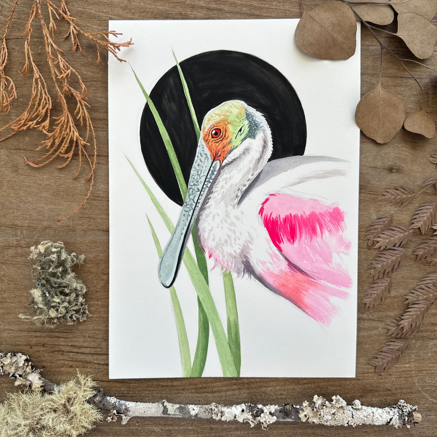 Roseate Spoonbill Study | Original Painting