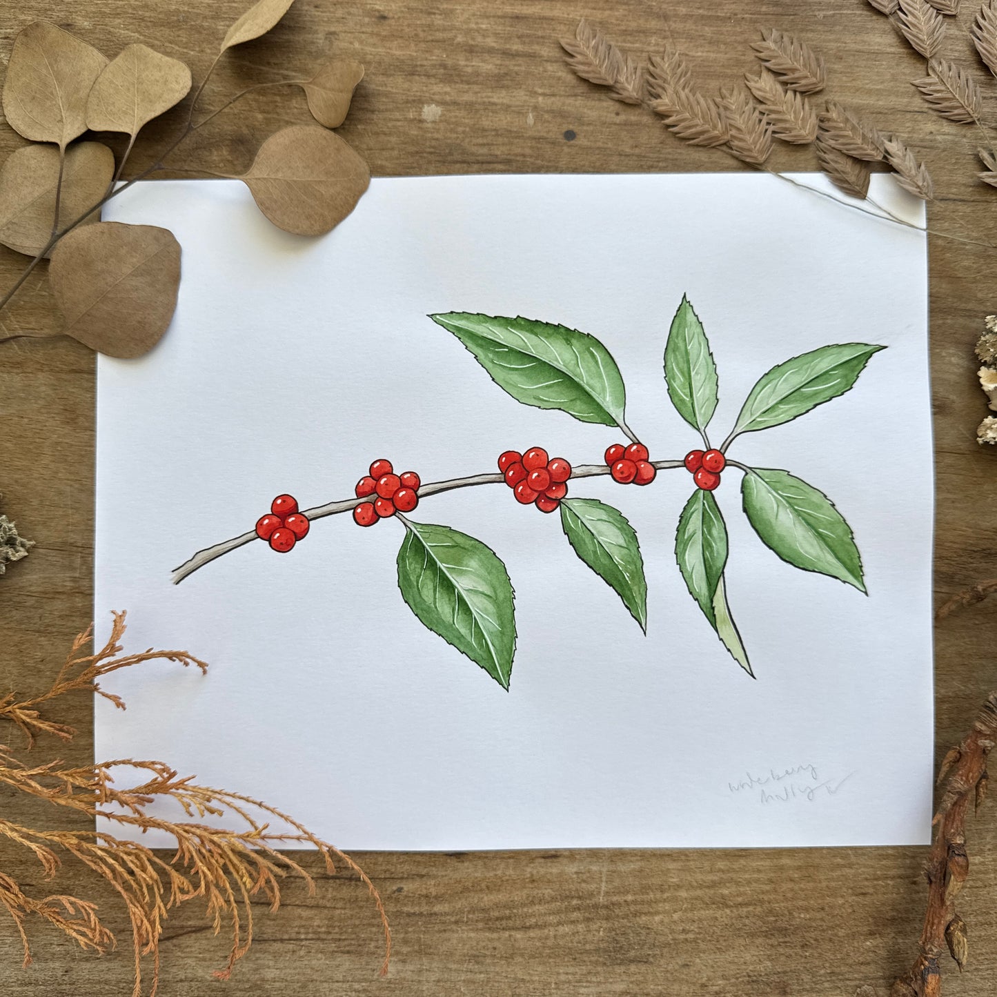 Winterberry Holly (Botanical Series) | Original Painting