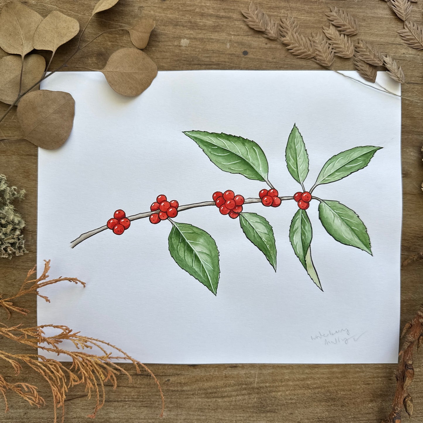 Winterberry Holly (Botanical Series) | Original Painting