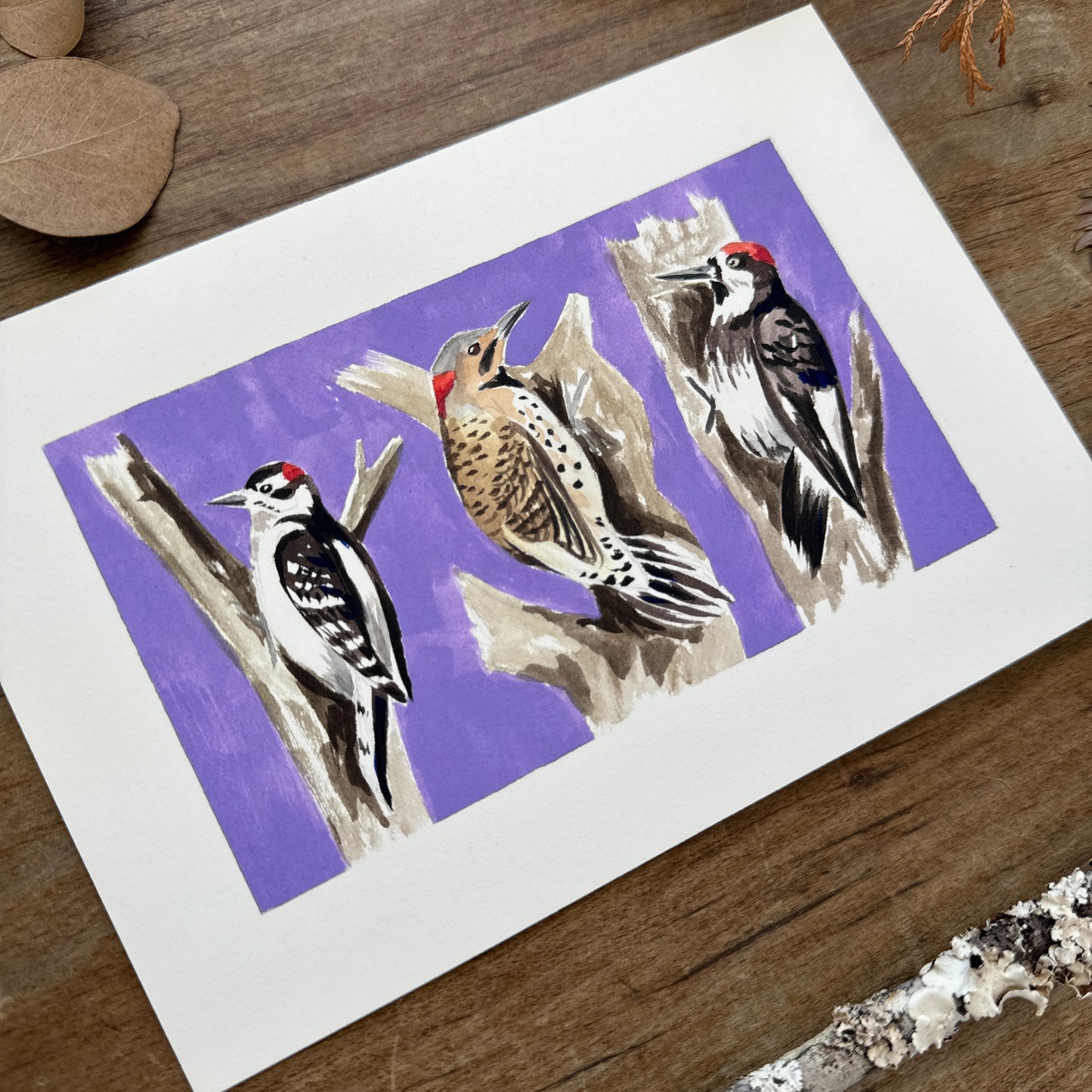 Woodpecker Trio Study | Original Painting