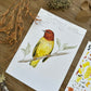 Yellow Warbler Study | Original Painting