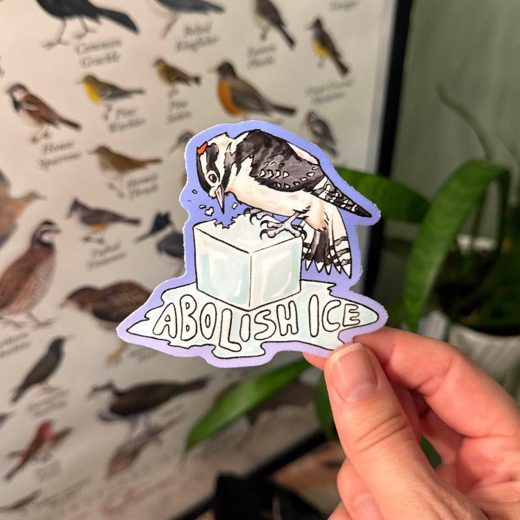 The Abolish Ice Woodpecker