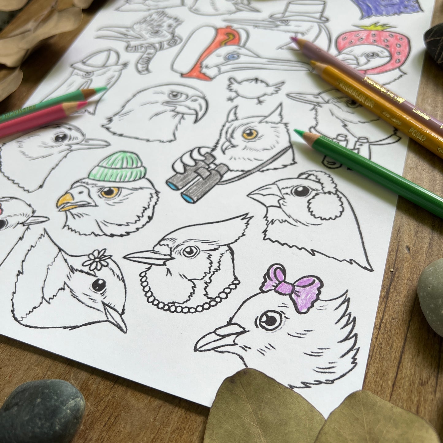 Birb Portraits: Part One | Coloring Page