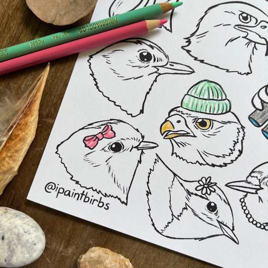Birb Portraits: Part One | Coloring Page