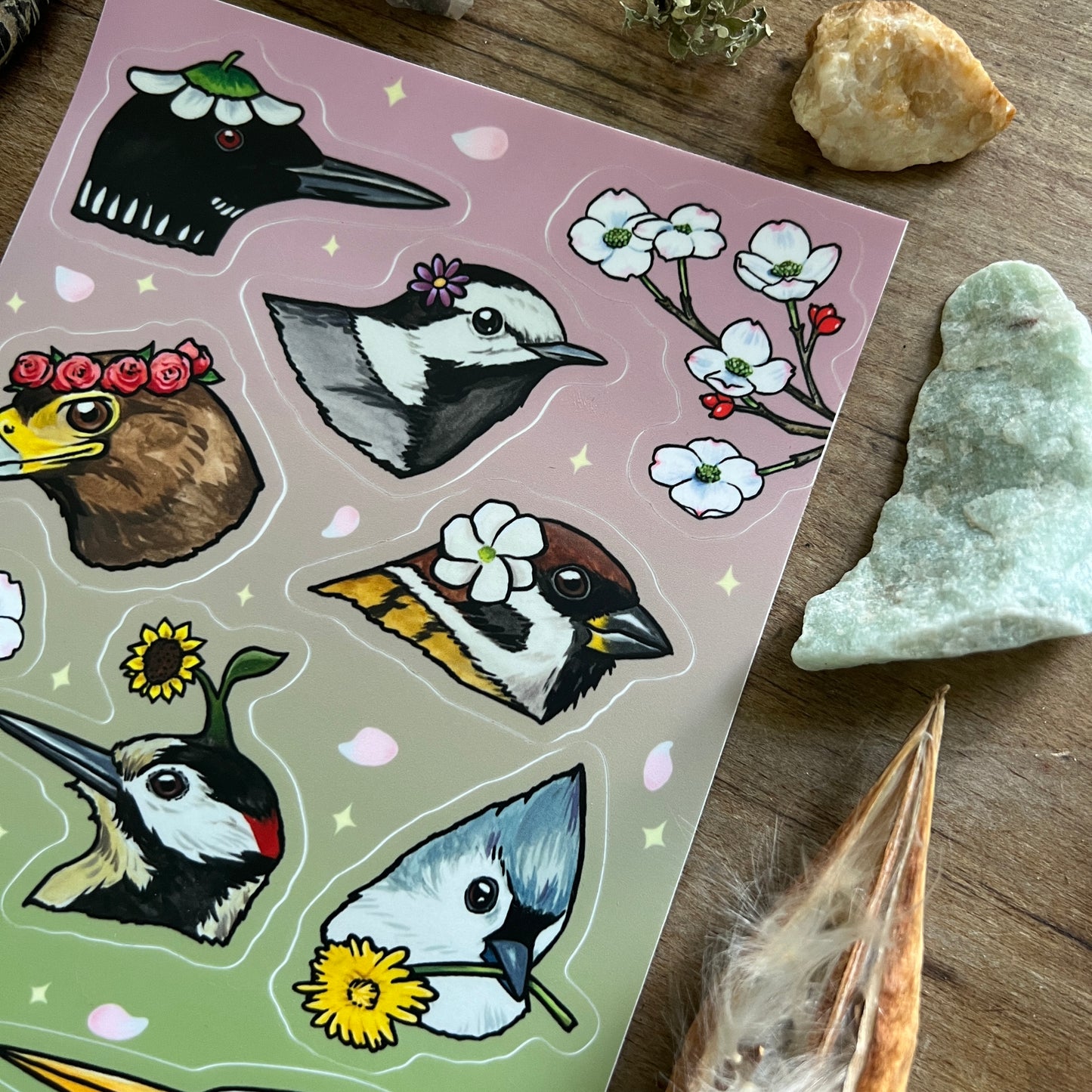 Birds in Bloom || Sticker Sheet