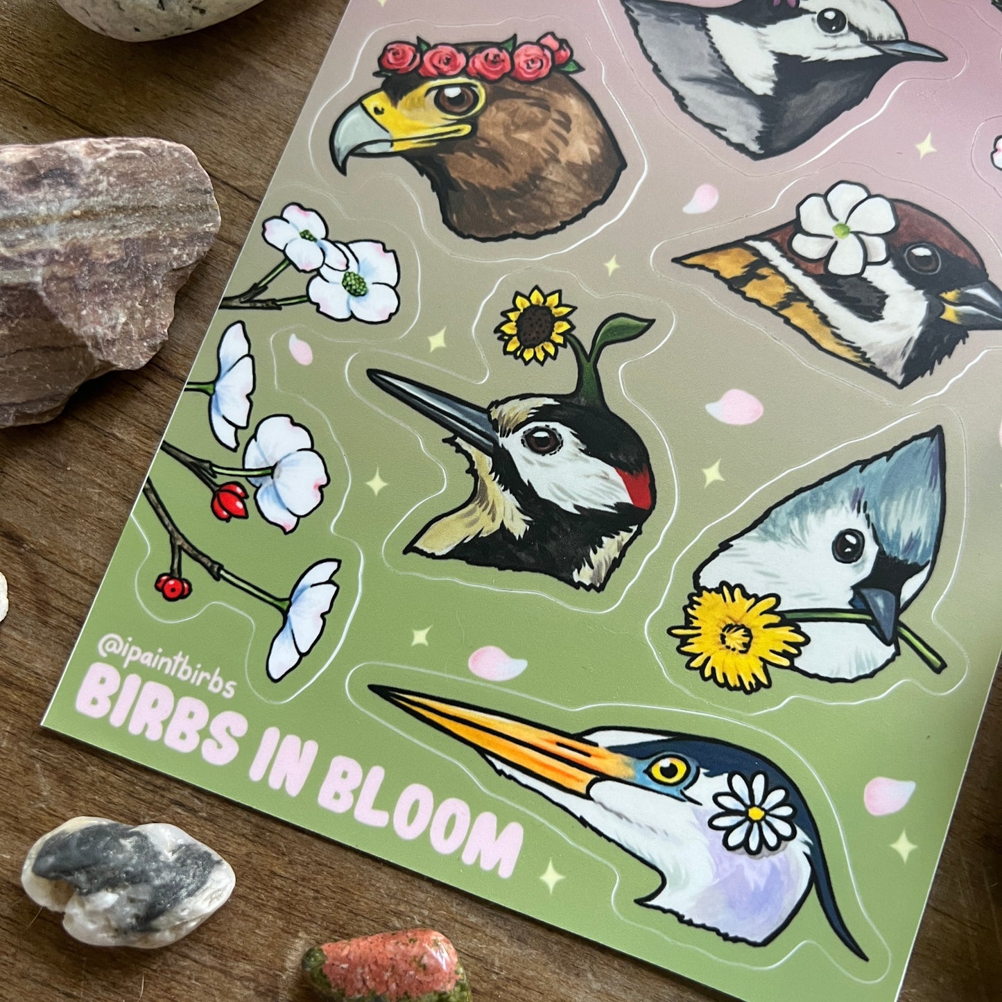 Birds in Bloom || Sticker Sheet