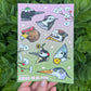 Birds in Bloom || Sticker Sheet
