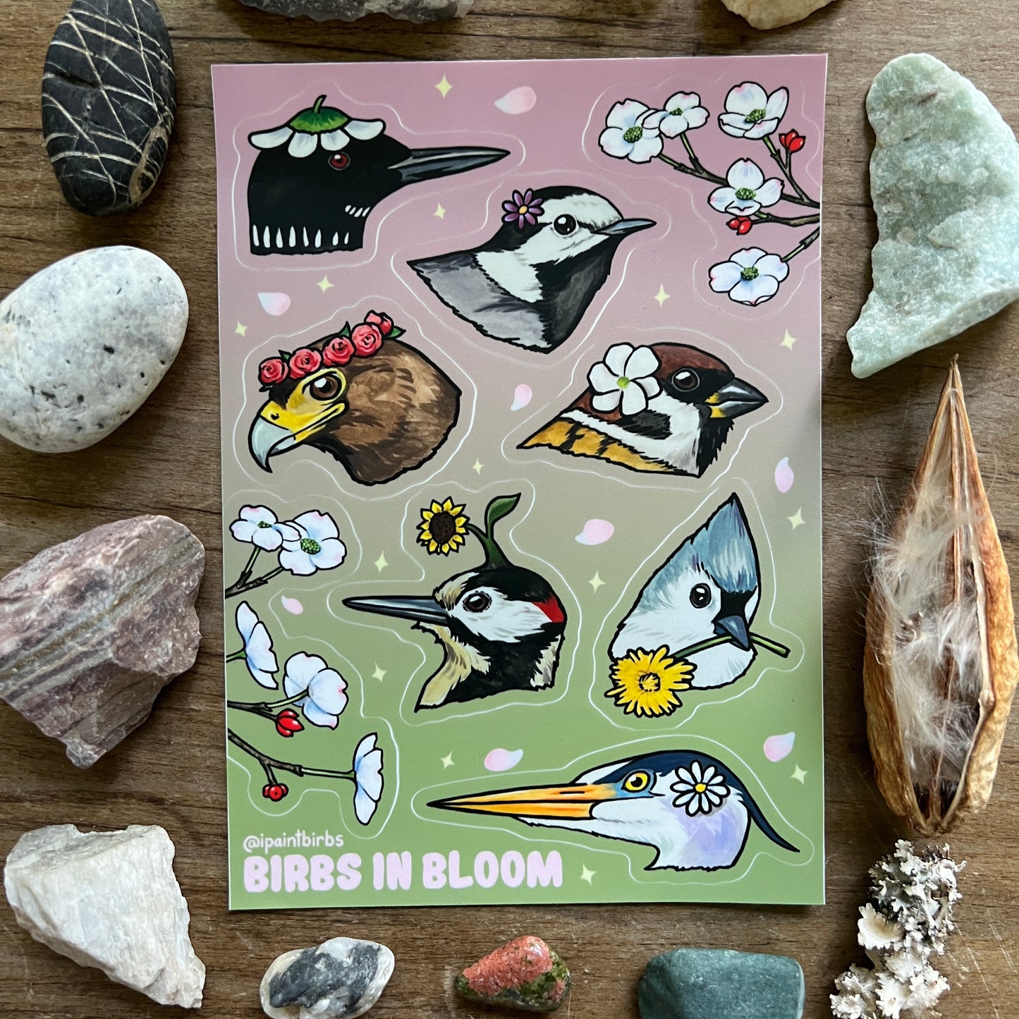 Birds in Bloom || Sticker Sheet