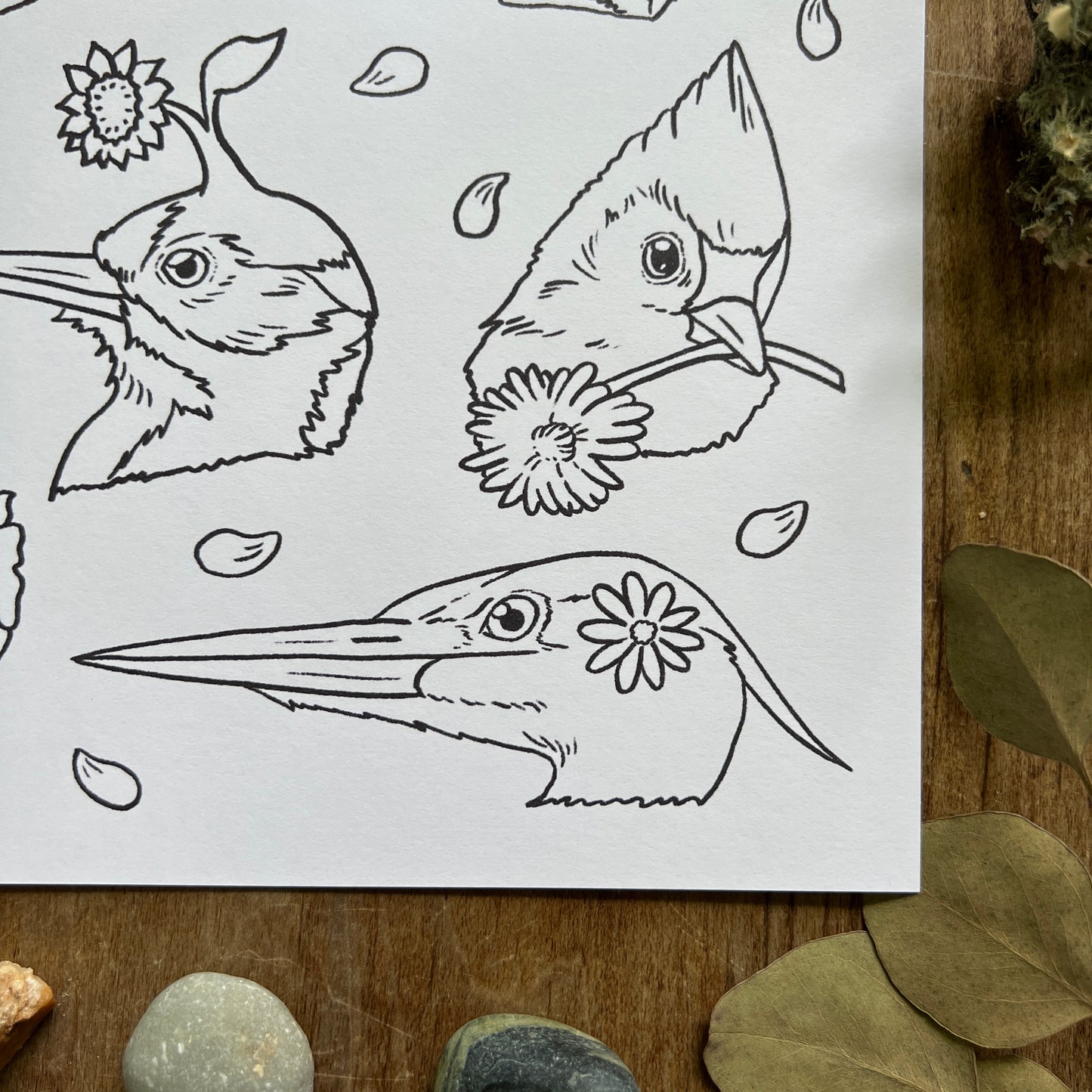 Birbs in Bloom | Coloring Page