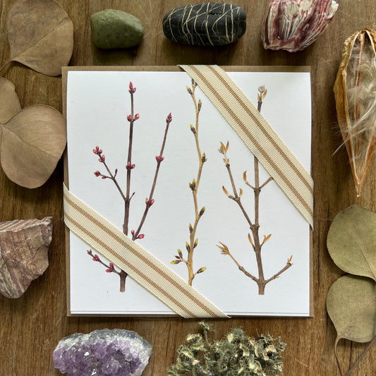 Familiar Branches Notecard Two Pack
