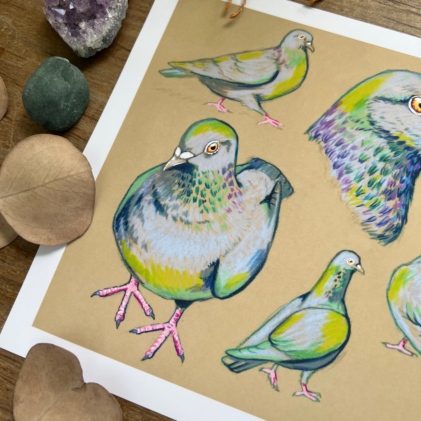 Pigeon Studies | Art Print