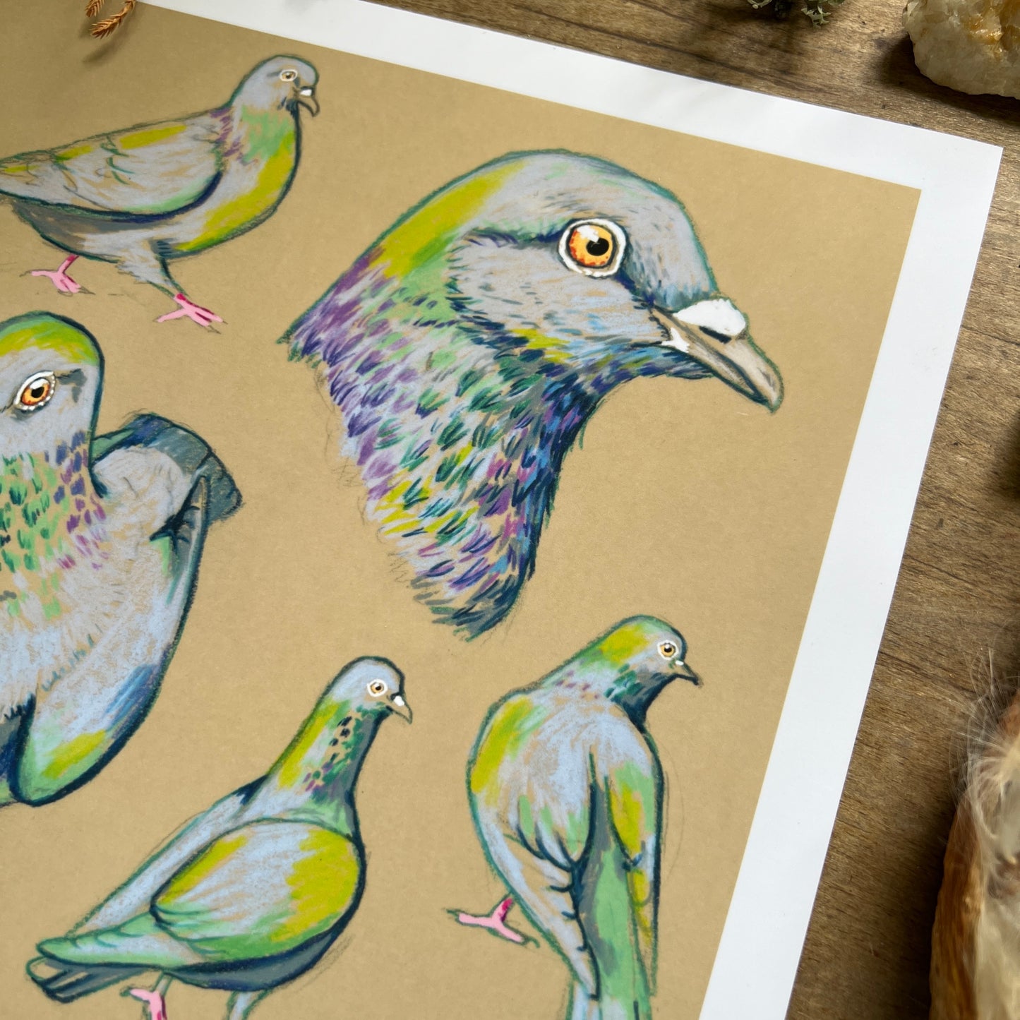 Pigeon Studies | Art Print