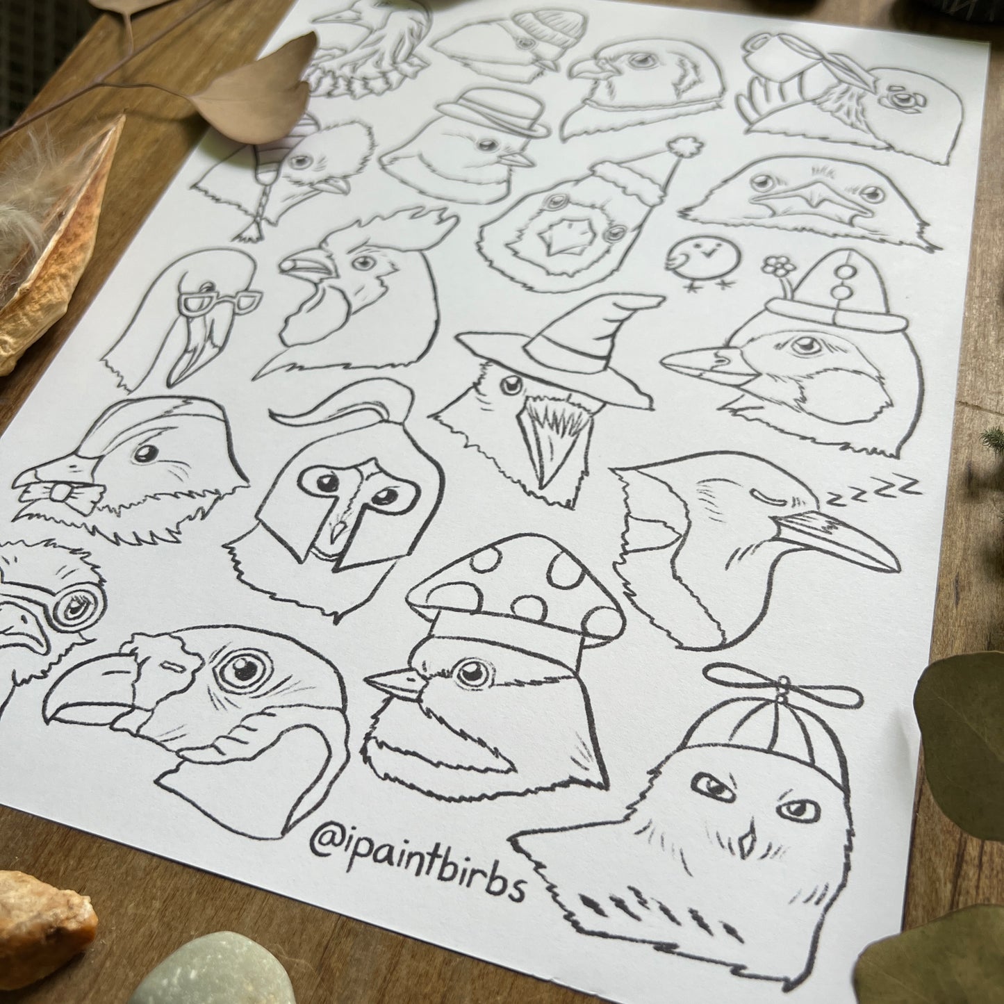Birb Portraits: Part Two | Coloring Page